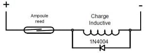 no6-jpc-protection-des-ampoules-reed-1