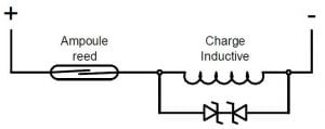 no6-jpc-protection-des-ampoules-reed-3