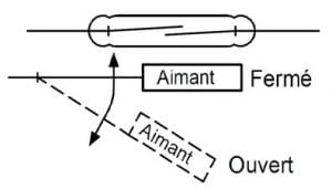 no6-jpc-protection-des-ampoules-reed-6